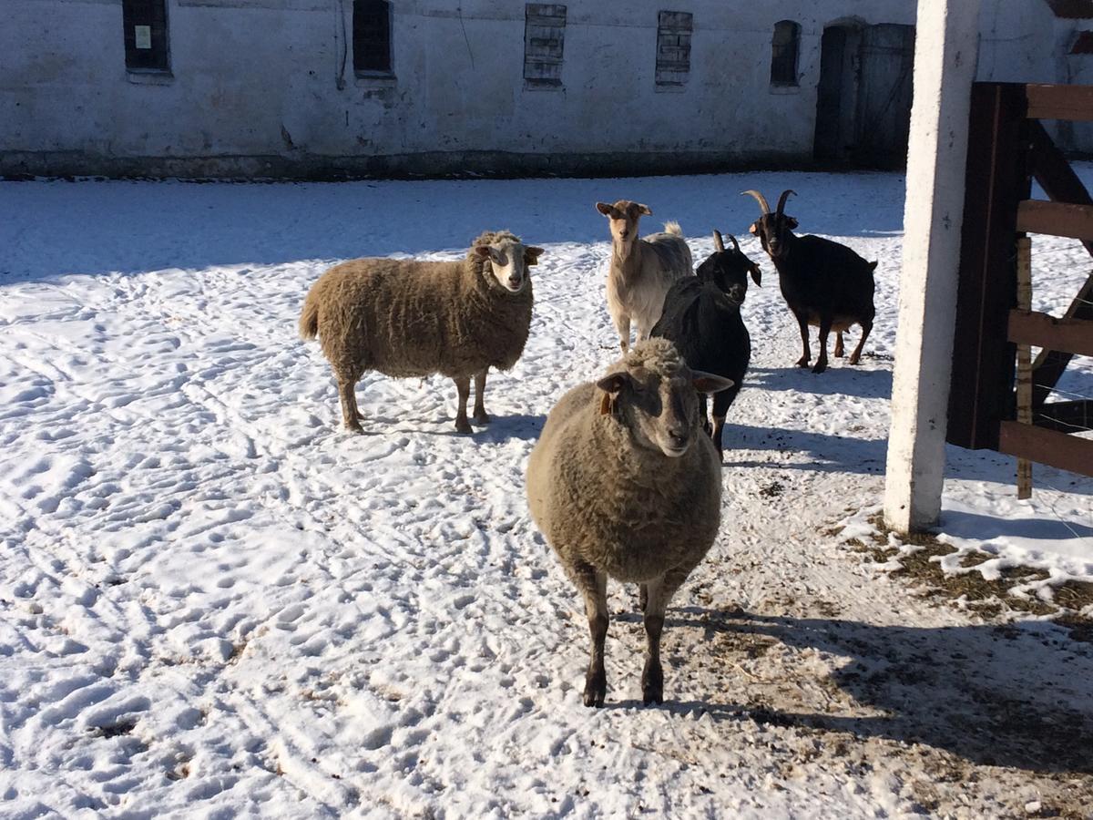 Folwark Luknajno Nad Jeziorem Sniardwy Gospoda Dziedzictwo Kulinarne Warmia-Mazury Mikołajki Extérieur photo